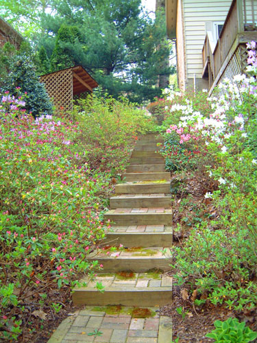 Cedillo Home and Garden