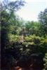 Aspen Hill